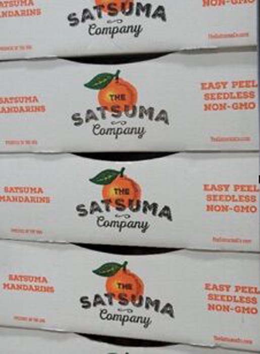 satsuma Satsuma begins Tifton operations | Tifton Gazette